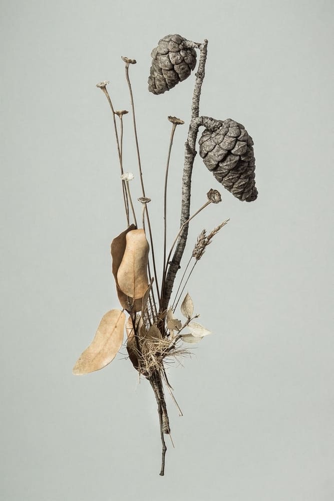 Photographie d'une composition de végétaux séchés en lévitation sur un fond gris