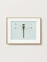 Free_Poster_Frame_Mockup_10.webp