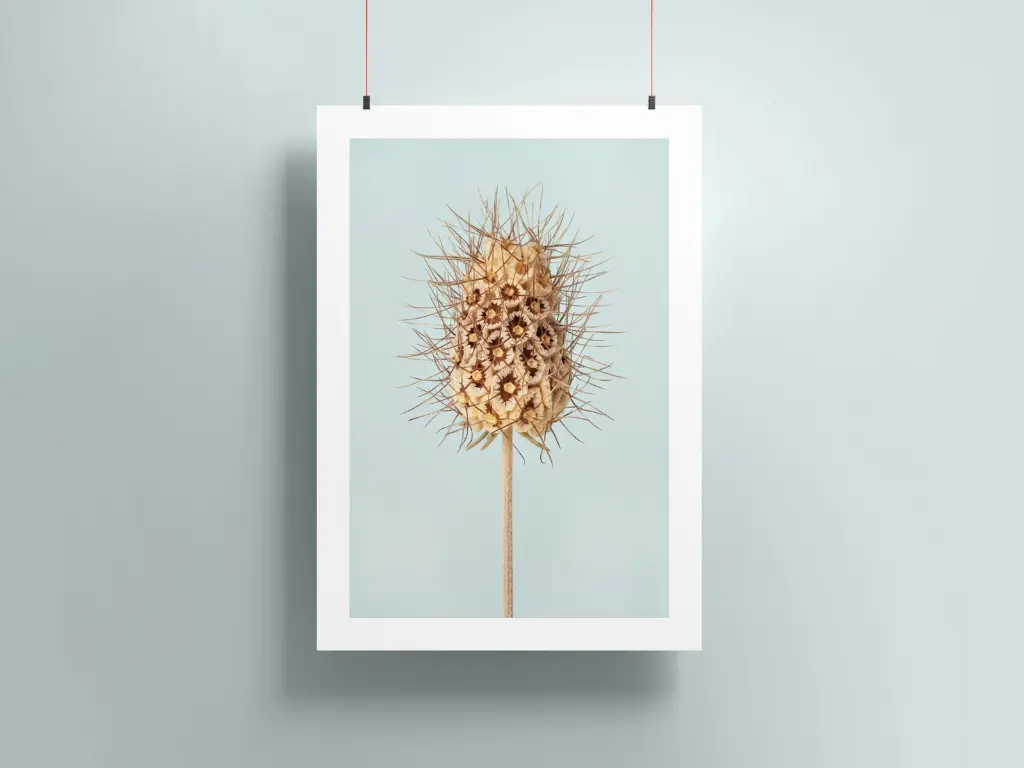 Poster-mockup13b.webp