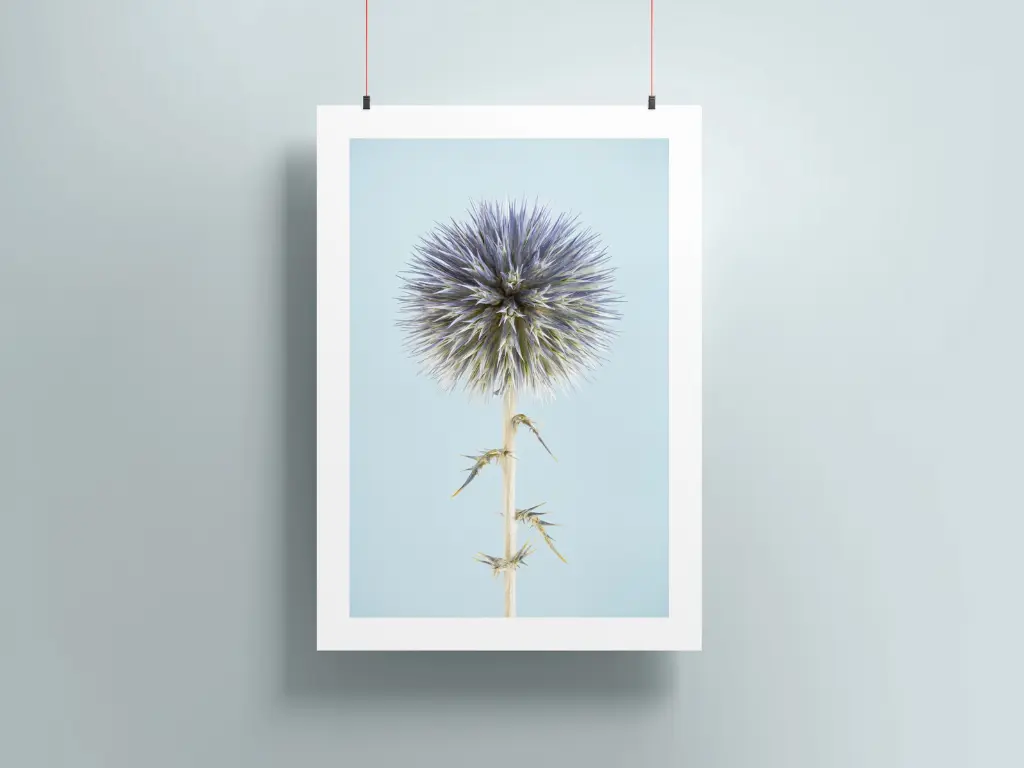 Poster-mockup4a.webp