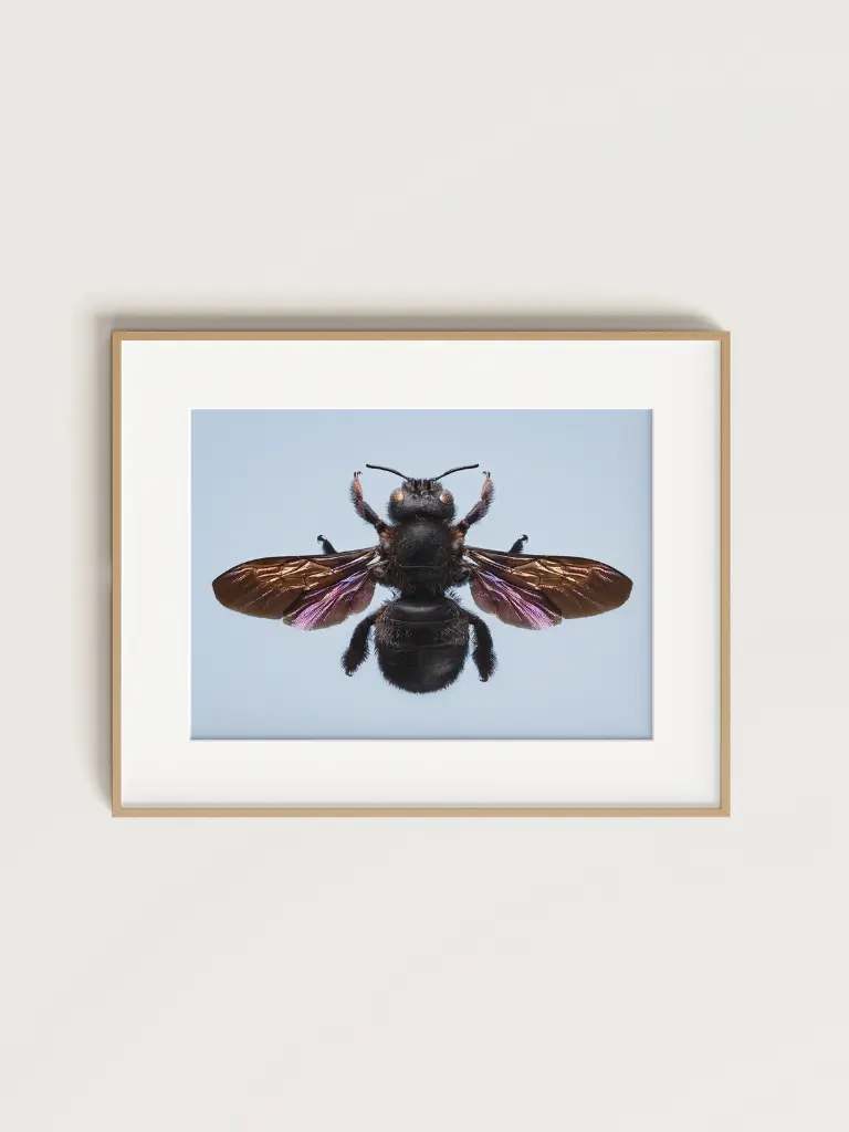Free_Poster_Frame_Mockup_55.webp