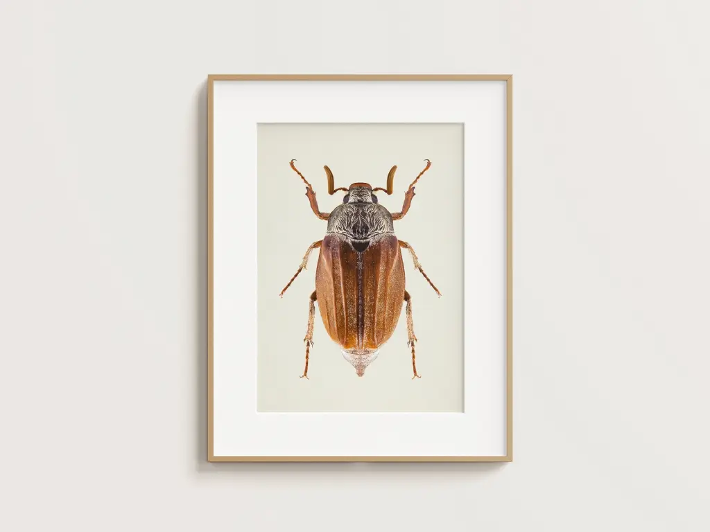 Free_Poster_Frame_Mockup_6.webp