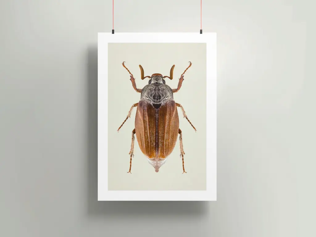 Poster-mockup9b.webp