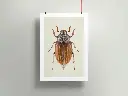 Poster-mockup9b.webp