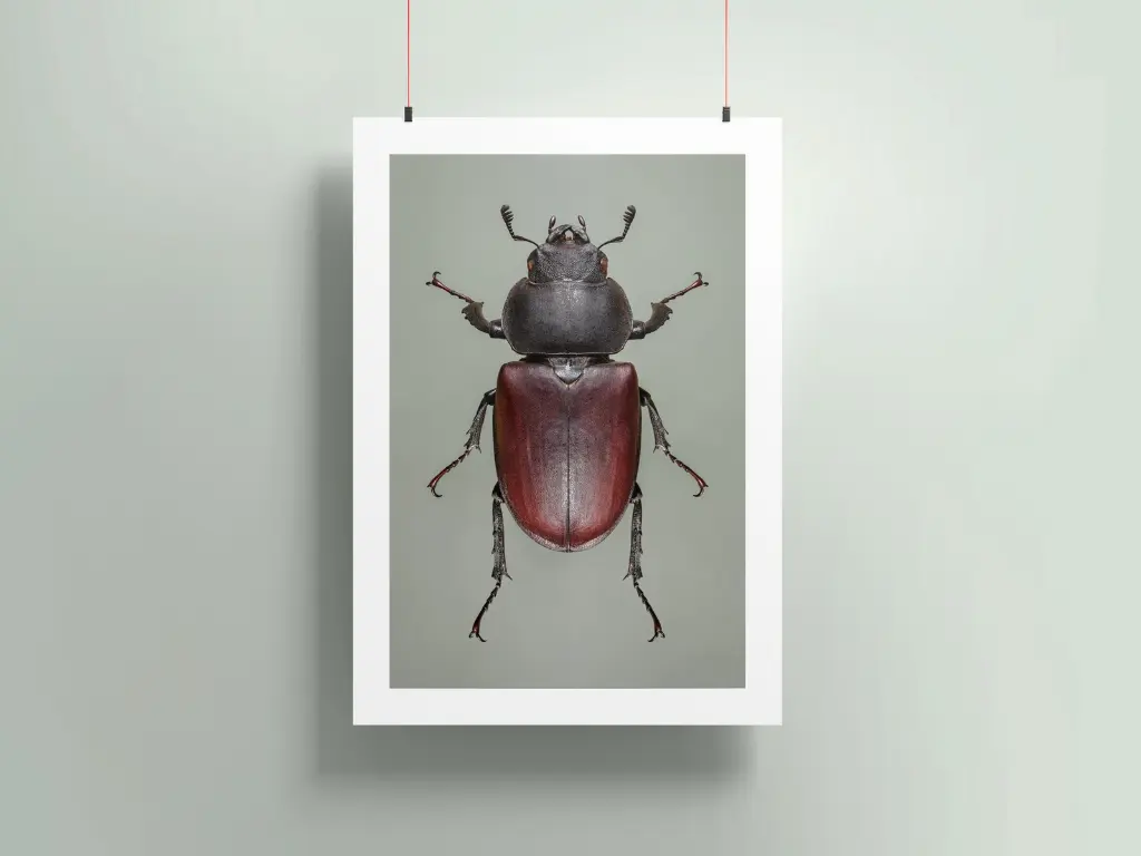 Poster-mockup11b.webp