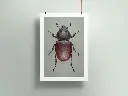 Poster-mockup11b.webp