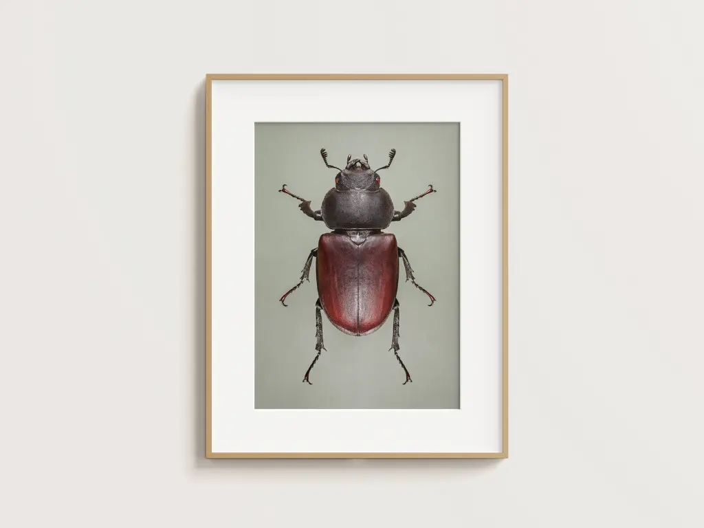 Free_Poster_Frame_Mockup_13.webp