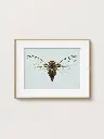 Free_Poster_Frame_Mockup_15.webp