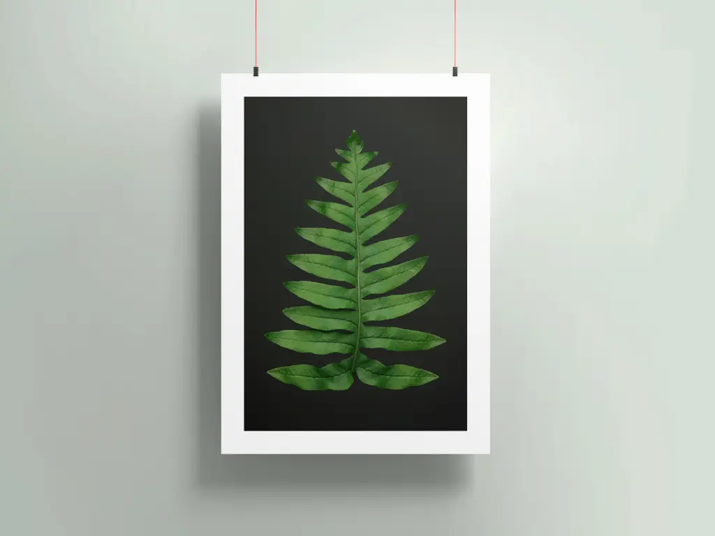 Poster-mockup7b.webp