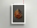 Poster-mockup12b.webp