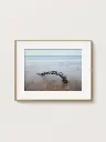 Free_Poster_Frame_Mockup_19.webp