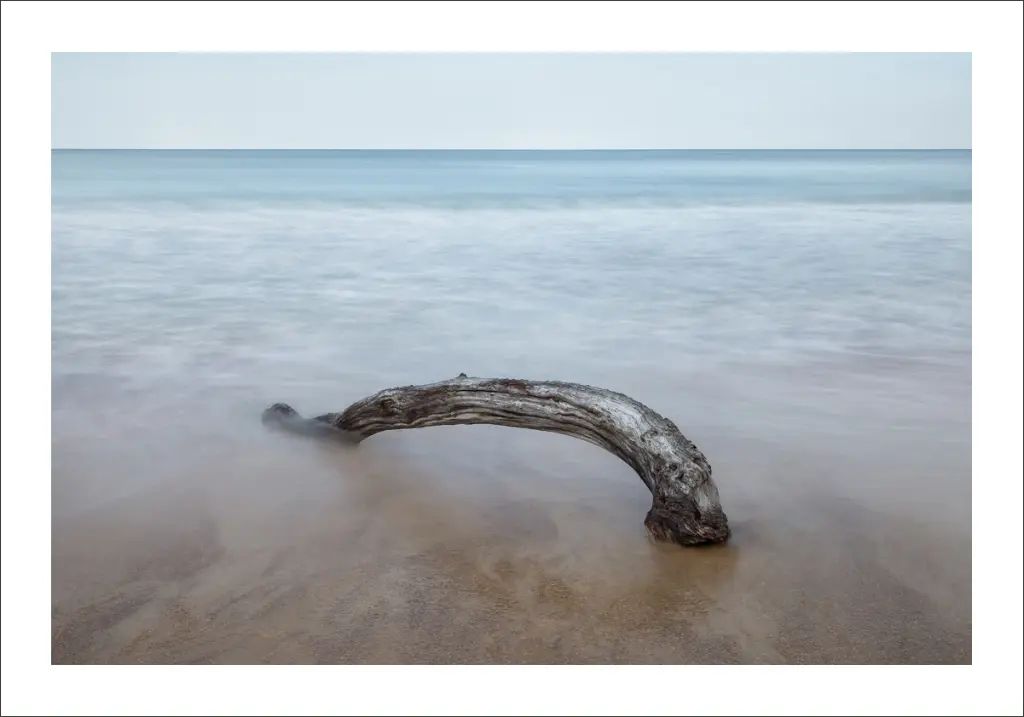 photographie-les-landes.webp