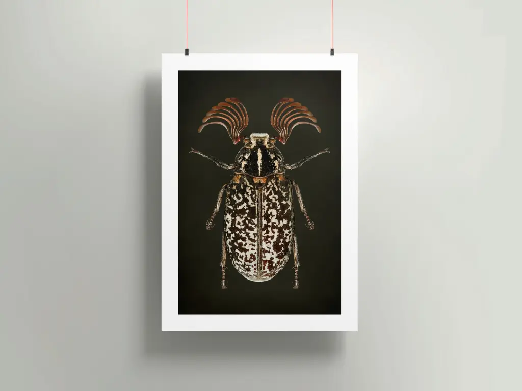 Poster-mockup10b.webp