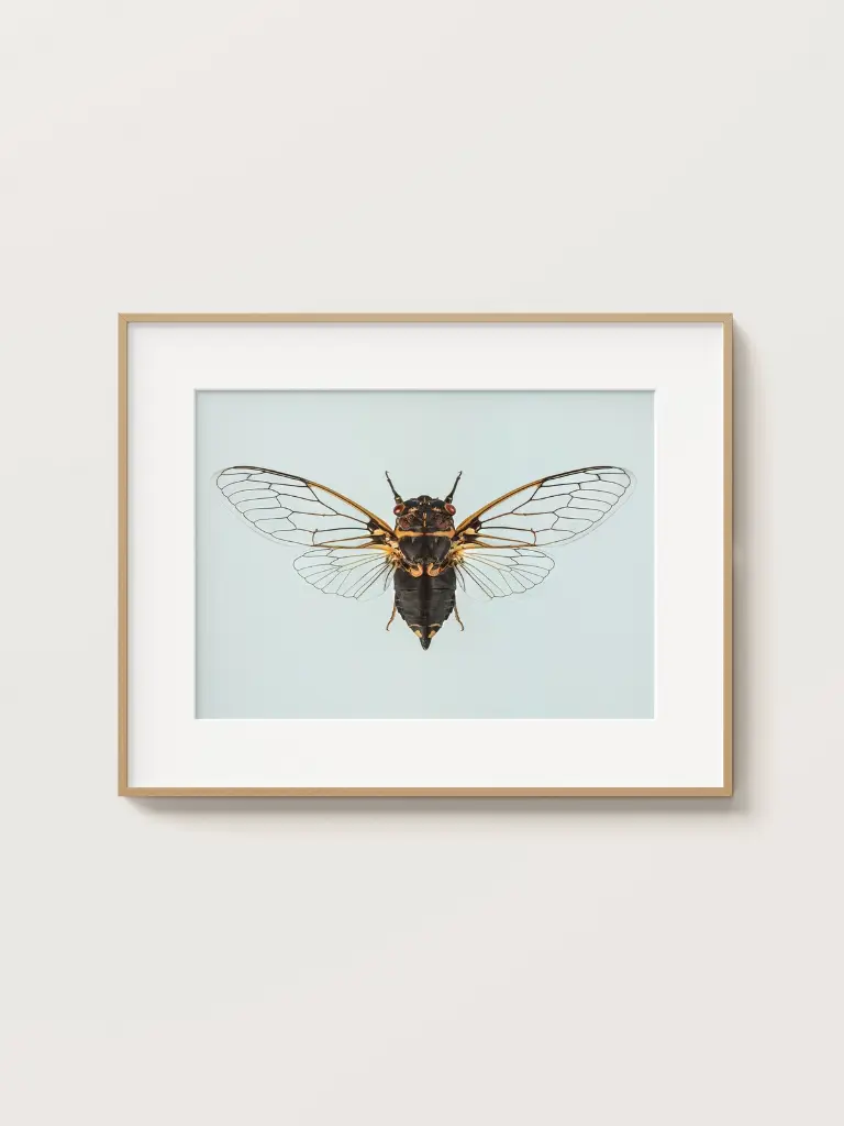 Free_Poster_Frame_Mockup_16.webp