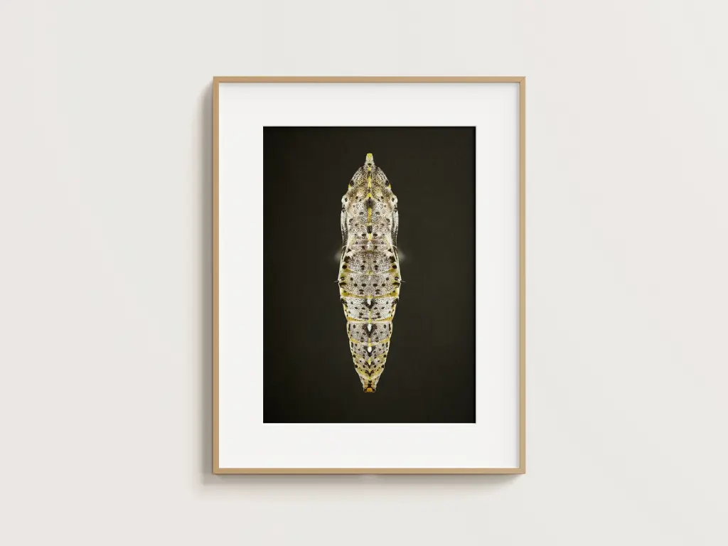 Free_Poster_Frame_Mockup_21.webp