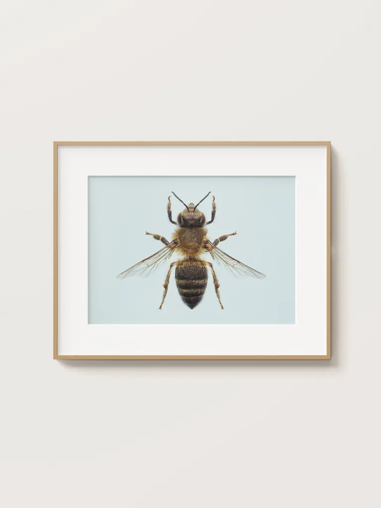 Free_Poster_Frame_Mockup_23.webp