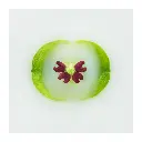 nature-morte-succulente-verte.webp