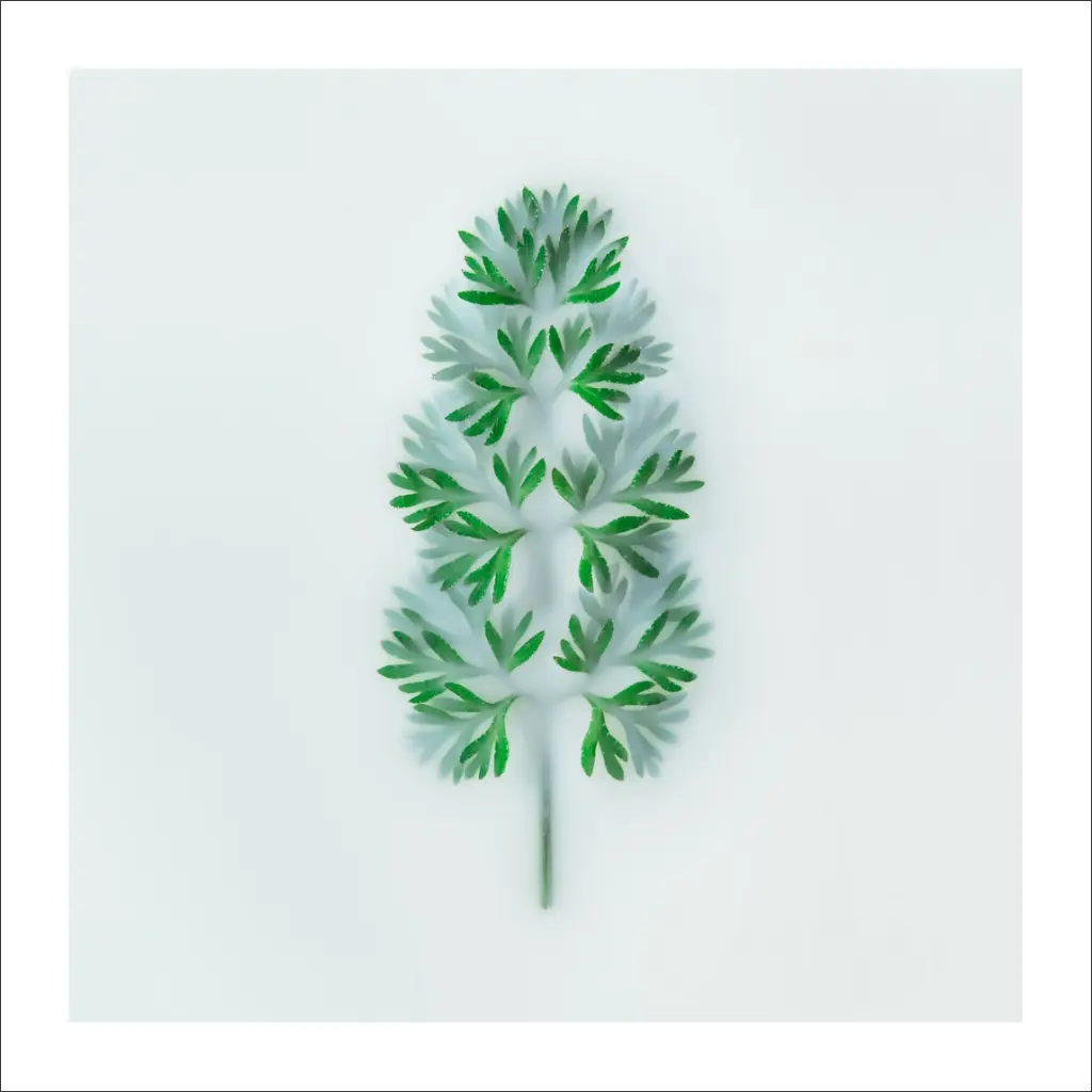 plante-still-life.webp