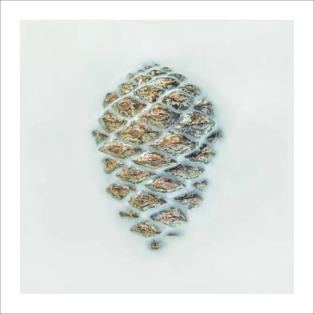 still-life-pin.webp