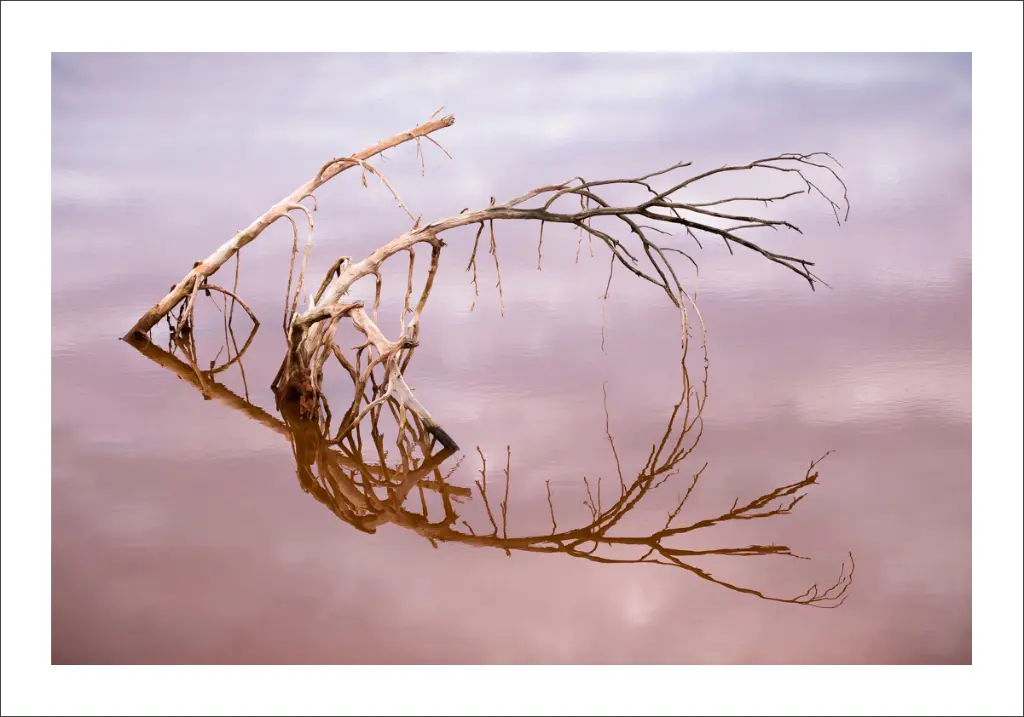photographie-aix-en-provence.webp