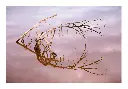 photographie-aix-en-provence.webp