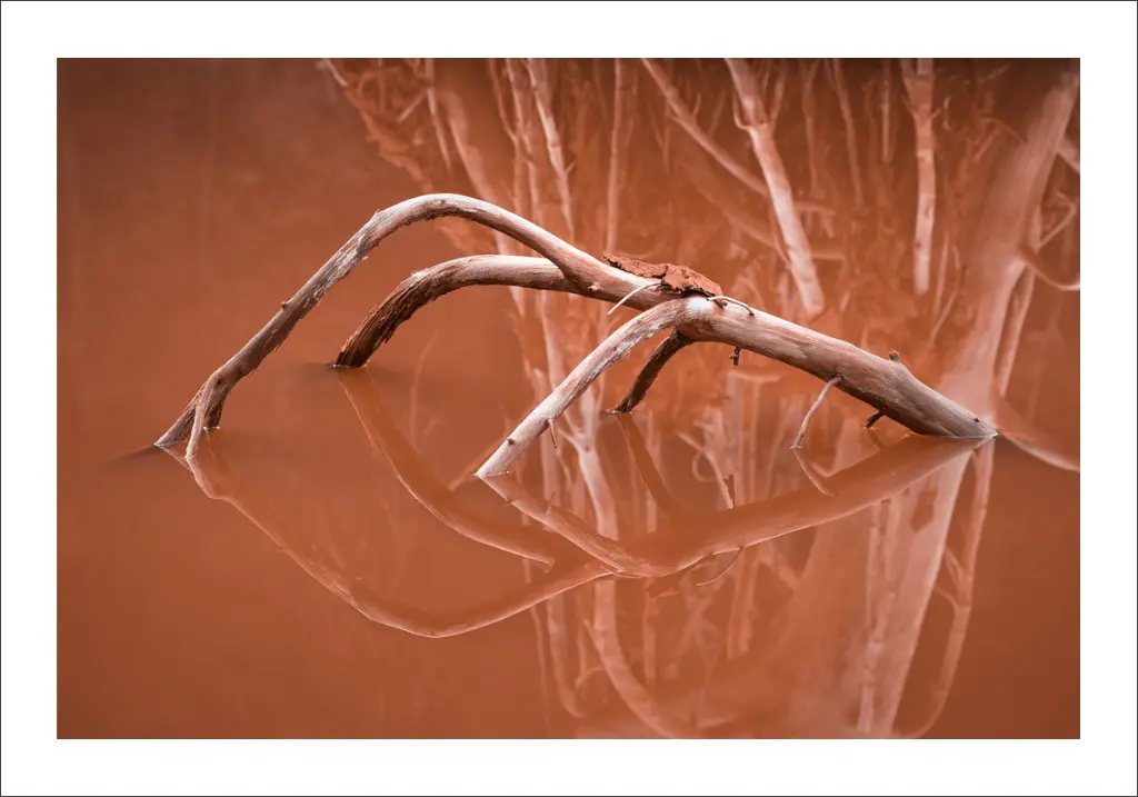 boues-rouges.webp