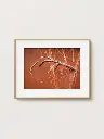Free_Poster_Frame_Mockup_27.webp