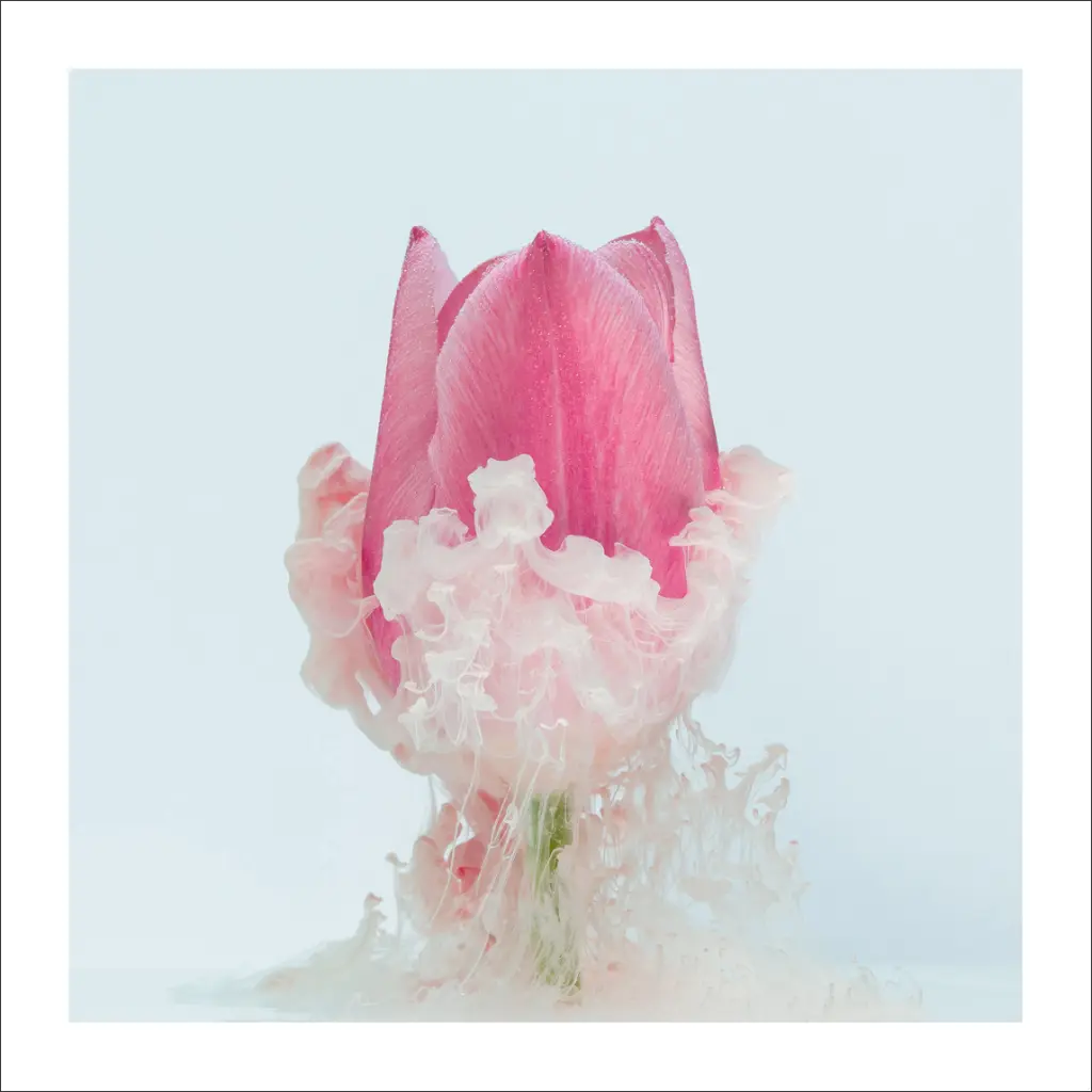 immersion-florale-tulipe.webp
