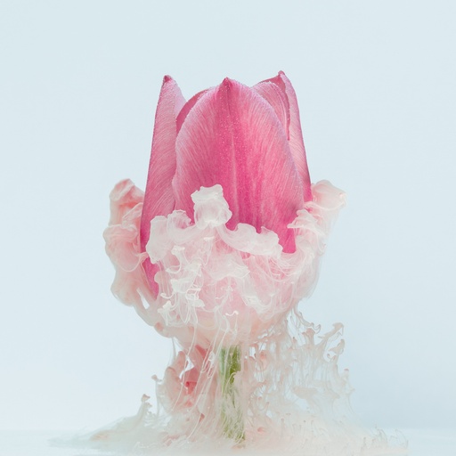 Immersion florale I